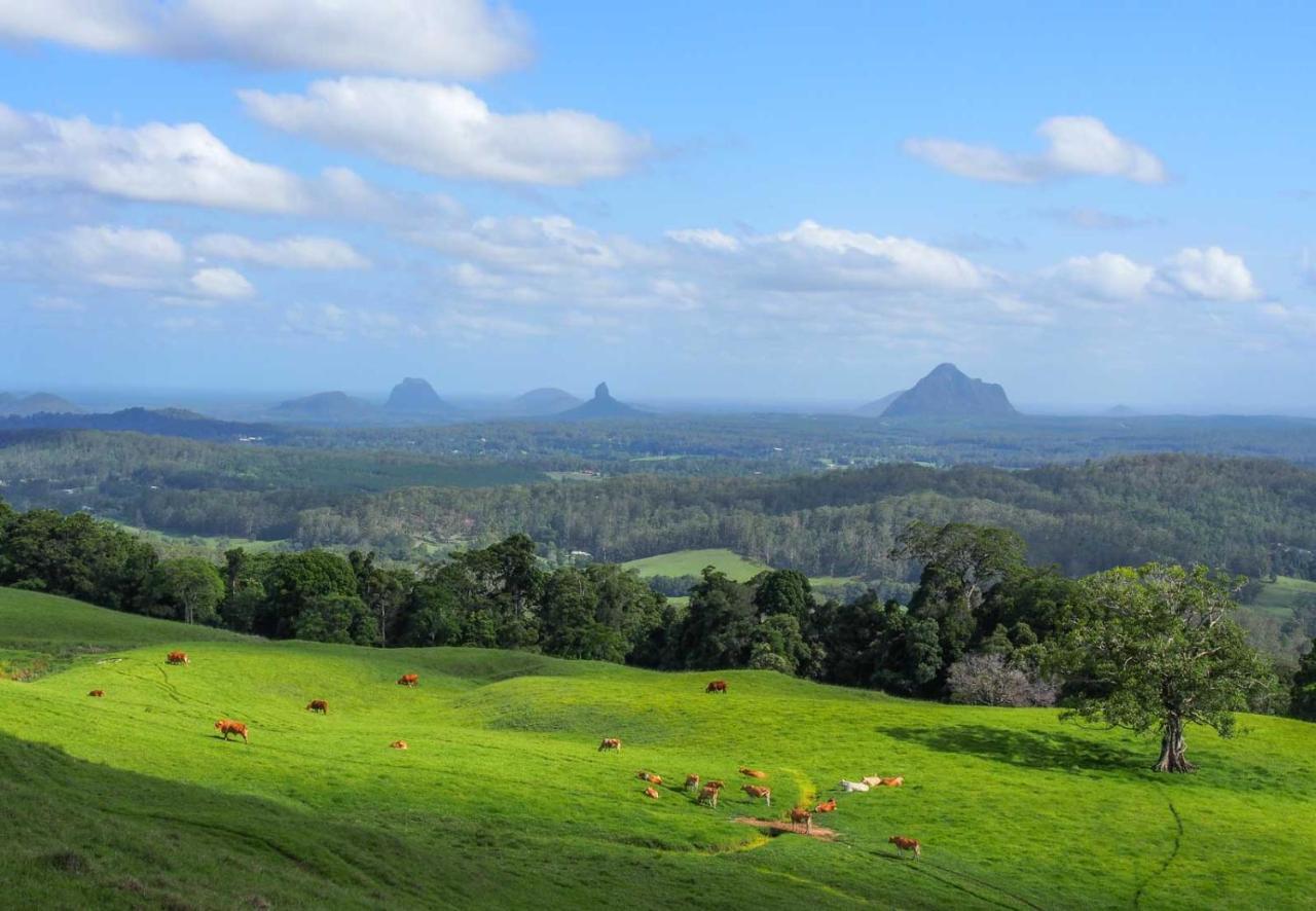 Maleny Lake Cottages Luaran gambar